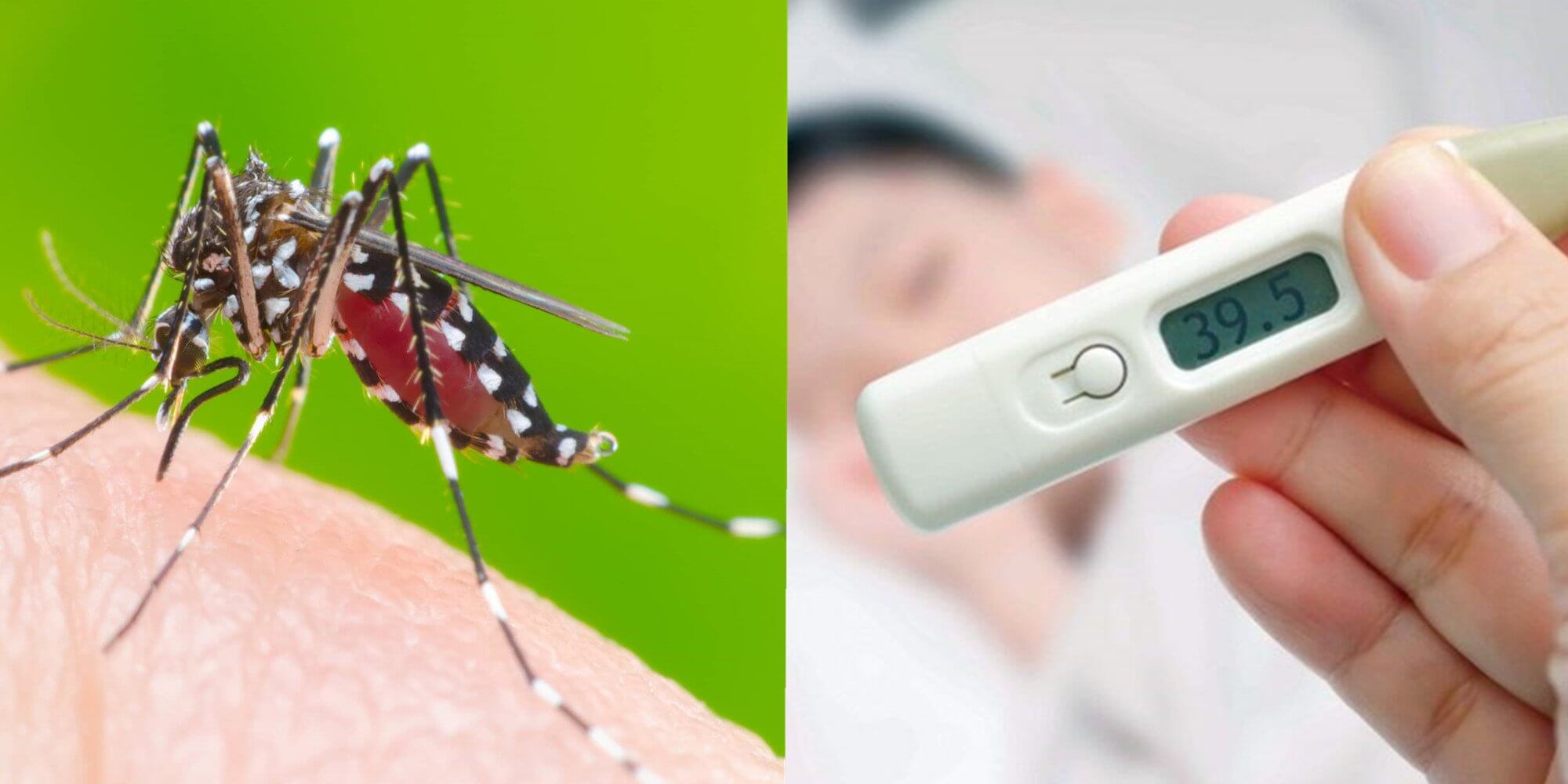 Những điều cần biết về bệnh sốt xuất huyết
