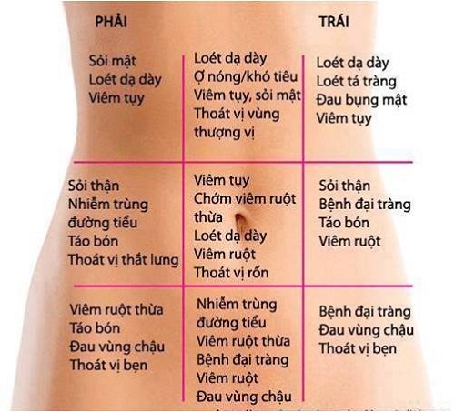 Sơ Đồ Nội Tạng Người, Nhận diện cơn đau qua vị trí nội tạng