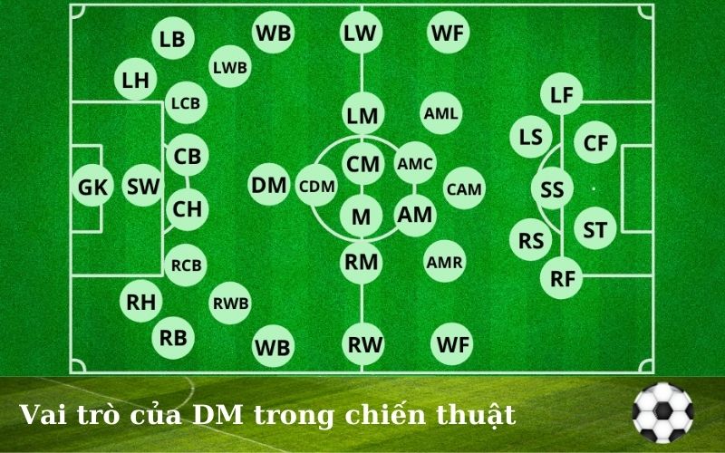 DM trong bóng đá là gì? Vị trí và tầm quan trọng