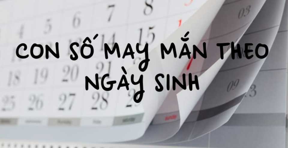 Tổng hợp những con số may mắn trong phong thủy: chọn đúng số, thu hút tài lộc vào nhà