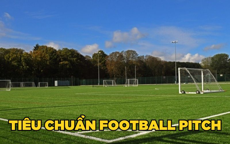 Football Pitch Là Gì? Các Tiêu Chuẩn Ở Football Pitch