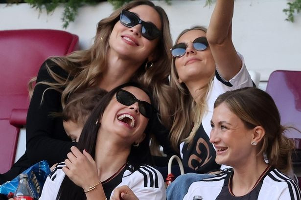 Wags là gì?