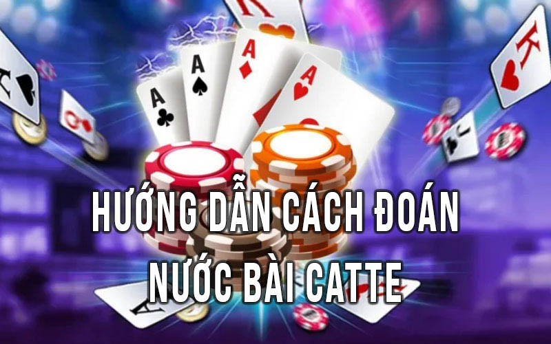 2 Cách Dự Đoán Bài Catte Của Thần Cờ Bạc