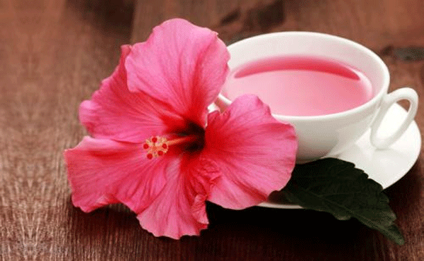 Ý nghĩa của hoa dâm bụt