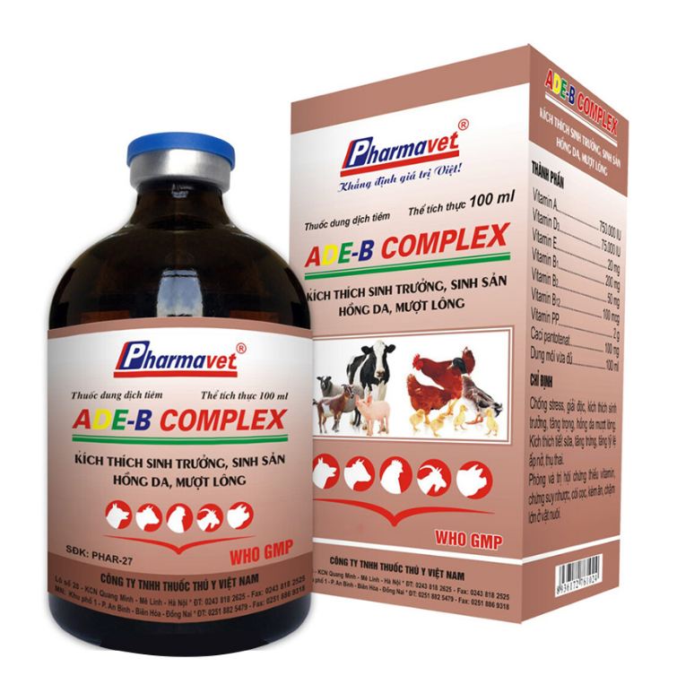 Top 5 loại Thuốc thú y cho Gà – Nơi bán uy tín nhất 2022 - Pharmavet Group