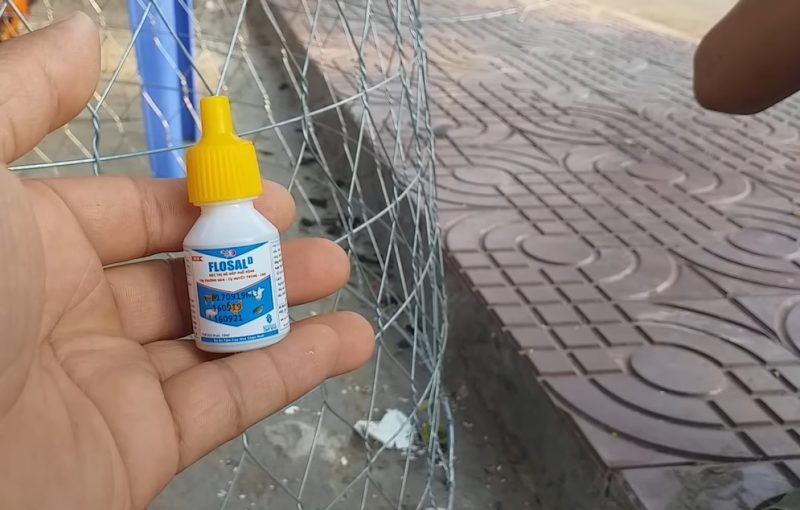 Xử lý gà sổ mũi bằng kết hợp thuốc và chăm sóc