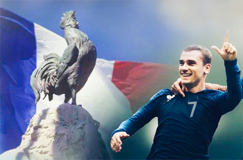 Đội tuyển Pháp Gà trống Gaulois