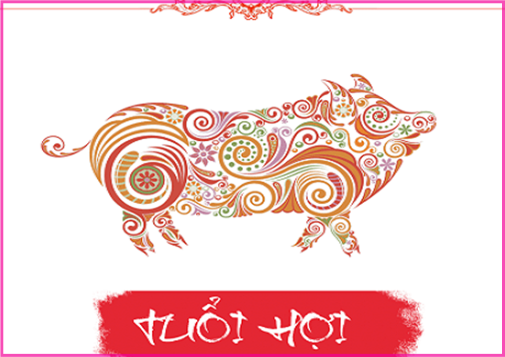 Tuổi Hợi là số mấy? Số may mắn của tuổi Hợi là số nào?