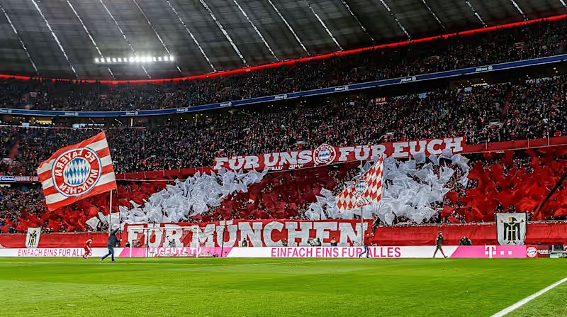 Fan Bayern gọi là gì? Ý nghĩa biệt danh Hùm xám Bavaria