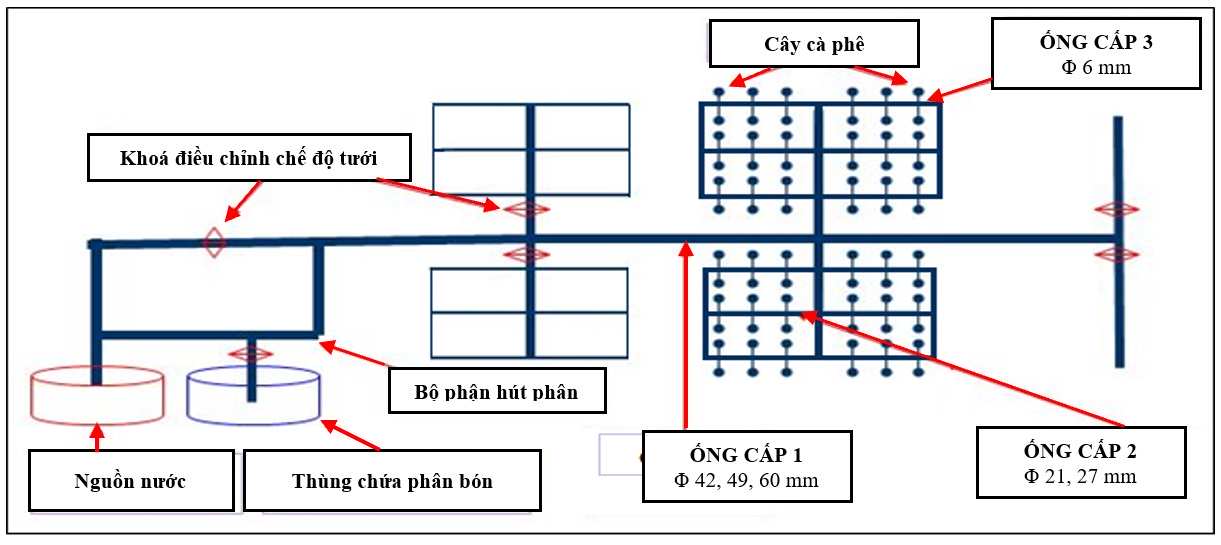 Hệ thống tưới tiết kiệm và bón phân tự động cho cà phê vối